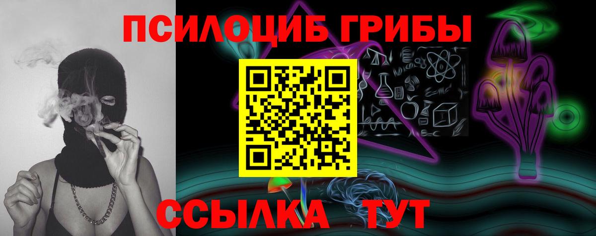 Галлюциногенные грибы MAGIC MUSHROOMS  Вход с VPN  Вичуга 